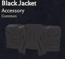 Black Jacket common Body accessory in Bizarre Lineage