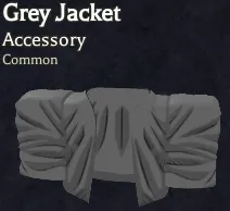 Grey Jacket common Body accessory in Bizarre Lineage